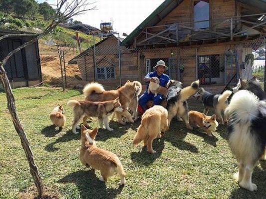 Tour Nha Trang Đà Lạt 4 ngày 3 đêm