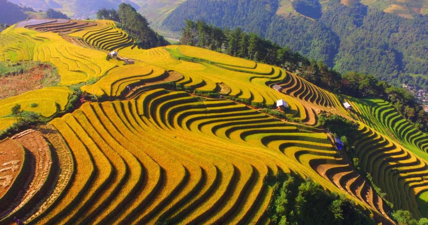 Giỏ hàng