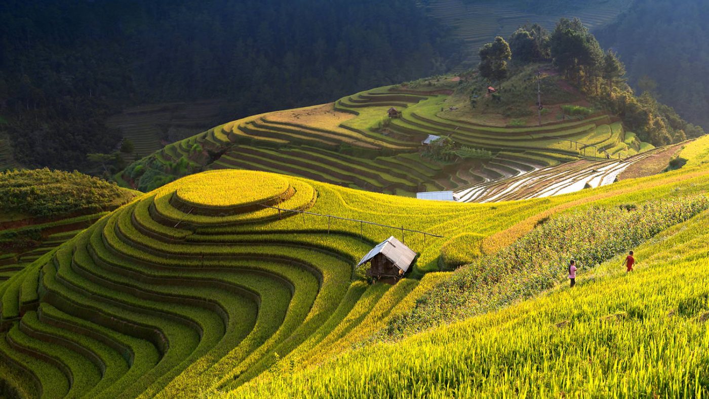 Giỏ hàng