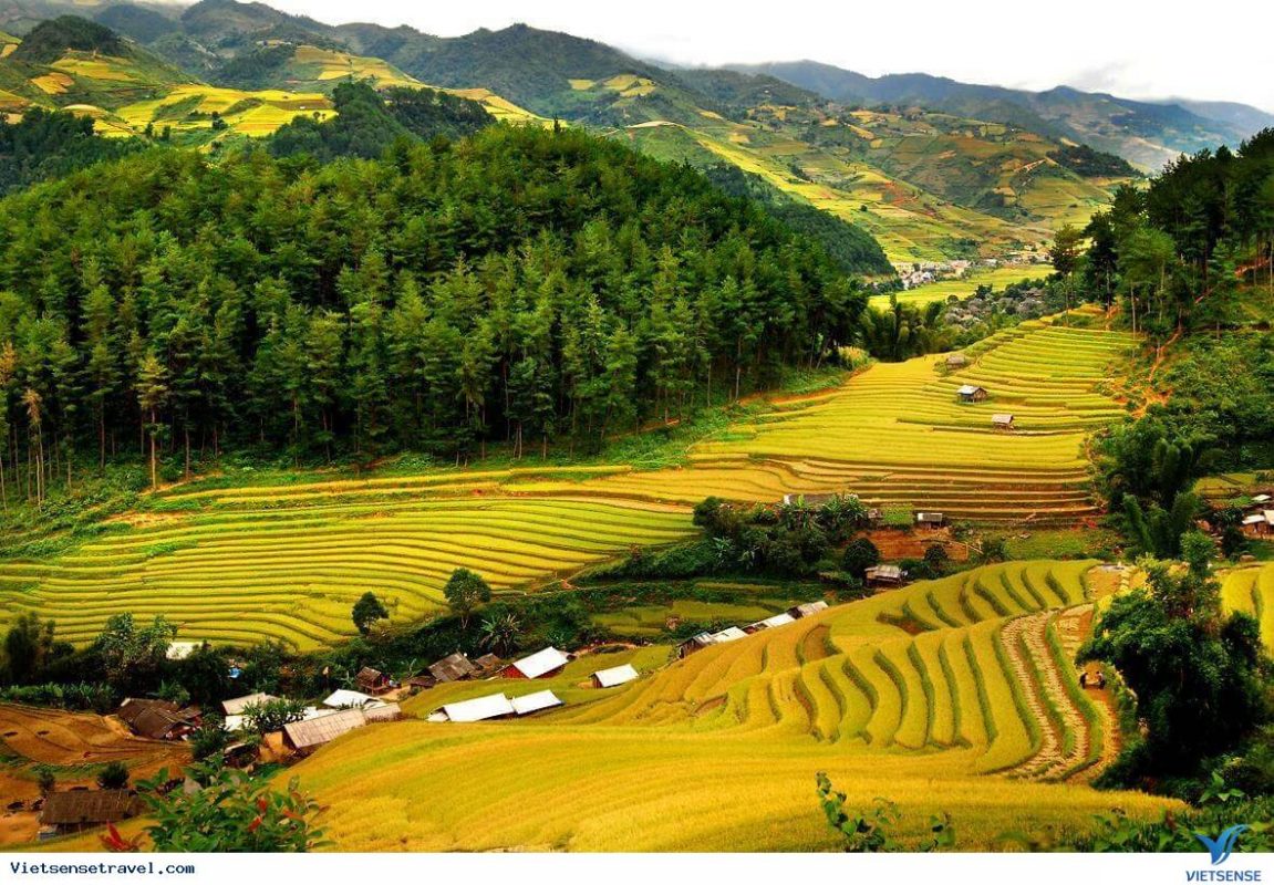 Giỏ hàng