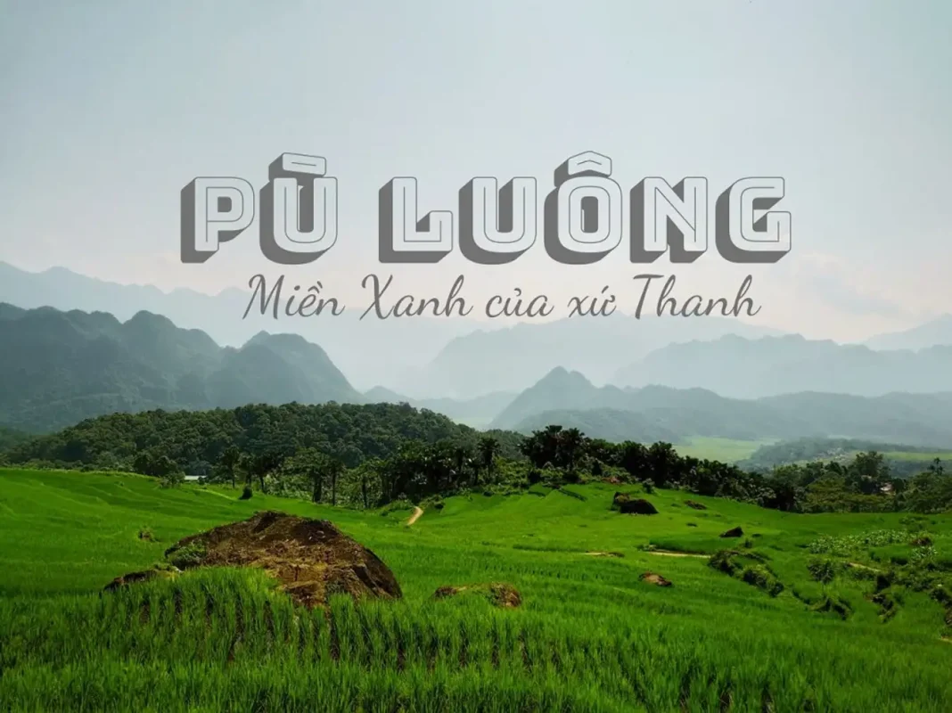 Giỏ hàng