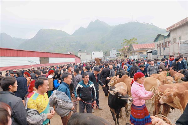 Chợ phiên Mèo Vạc – Nét đẹp giao thương vùng cao Chợ phiên Mèo Vạc – Nét đẹp giao thương vùng cao