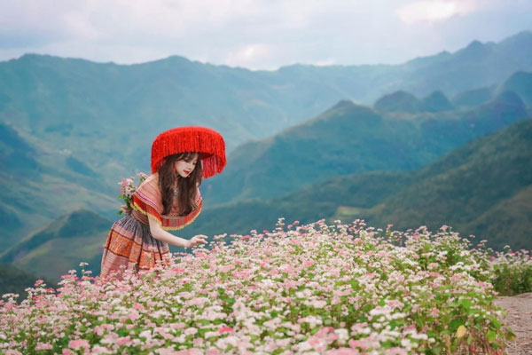 Thang 9 - tháng 11 là mùa hoa Tam Giác Mạch đẹp nhất khi du lịch Thang 9 - tháng 11 là mùa hoa Tam Giác Mạch đẹp nhất khi du lịch