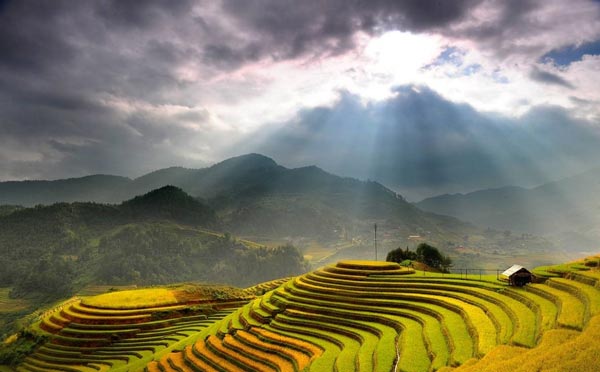 Ruộng bậc thang Hoàng Su Phì - Trek, cắm trại, mùa nước đổ & lúa chín Ruộng bậc thang Hoàng Su Phì - Trek, cắm trại, mùa nước đổ & lúa chín