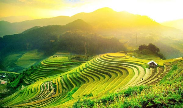Ruộng bậc thang Hoàng Su Phì - Cảnh thiên nhiên siêu đẹp Ruộng bậc thang Hoàng Su Phì - Cảnh thiên nhiên siêu đẹp