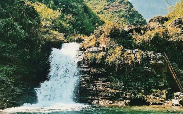 Du Gia, Thác nước - Đi bộ, tắm suối và nghỉ dưỡng Du Gia, Thác nước - Đi bộ, tắm suối và nghỉ dưỡng