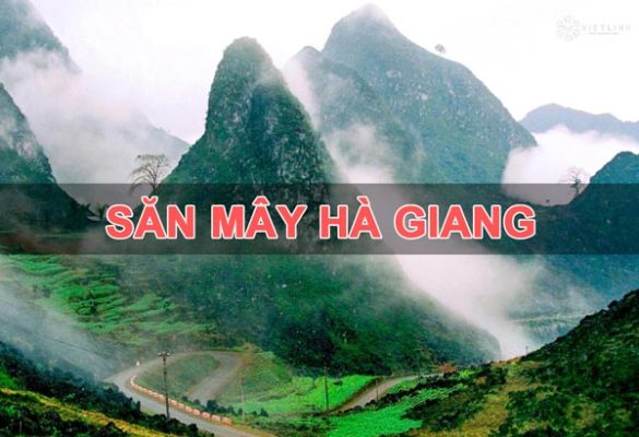 Săn Mây là điều thu hút du khách khi đến với mảng đất Hà Giang