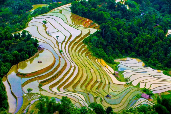 Tháng 5 – Mùa nước đổ ở ruộng bậc thang ở Hà Giang Tháng 5 – Mùa nước đổ ở ruộng bậc thang ở Hà Giang