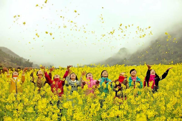 Hoa cải vàng nở rộ ở Hà Giang Hoa cải vàng nở rộ ở Hà Giang