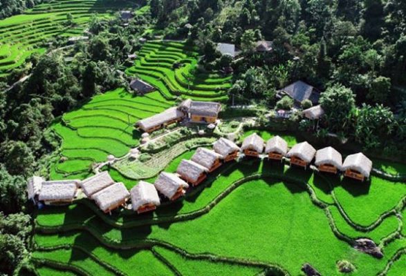 Những lưu ý khi đi du lịch Hoàng Su Phì - Hà Giang