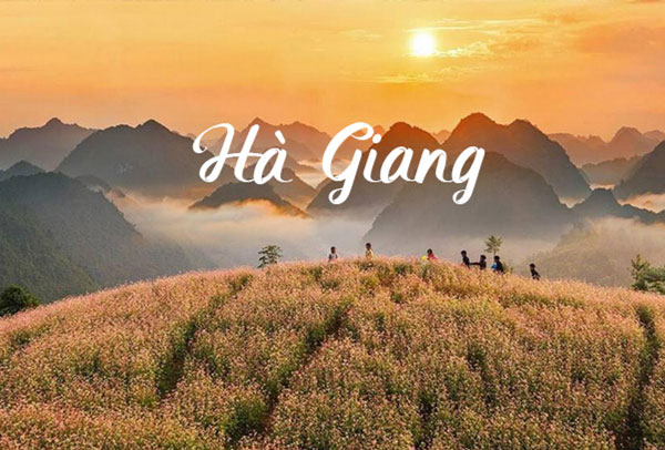 Những lưu ý cần biết khi đi tour Hà Giang 2 ngày 1 đêm Những lưu ý cần biết khi đi tour Hà Giang 2 ngày 1 đêm