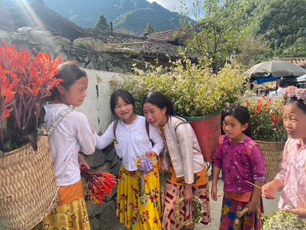 Tour du lịch Hà Giang 3 ngày 2 đêm từ TPHCM tại VietLink Tour Tour du lịch Hà Giang 3 ngày 2 đêm từ TPHCM tại VietLink Tour