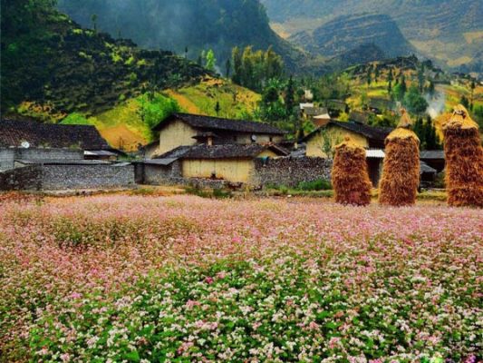 Những lưu ý cần biết khi đi tour Hà Giang 5 ngày 4 đêm Những lưu ý cần biết khi đi tour Hà Giang 5 ngày 4 đêm