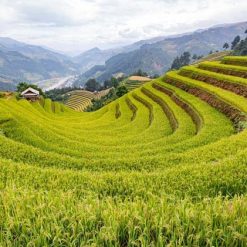 Tour Hà Nội - Mù Cang Chải 2n1đ