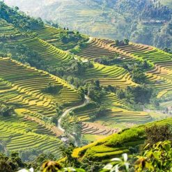 Tour Hà Nội - Hoàng Su Phì - Bắc Hà 3N2Đ