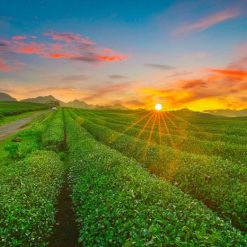 Tour Hà Nội - Sơn La - Điện Biên 3N2Đ