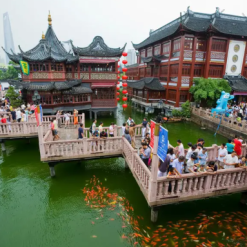THƯỢNG HẢI – Ô TRẤN – HÀNG CHÂU – ĐẦM LẦY THANH SƠN