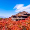 KHÁM PHÁ CUNG ĐƯỜNG MÙA THU VÀNG: HÀ NỘI – OSAKA – CỐ ĐÔ NARA – NÚI PHÚ SĨ – THỦ ĐÔ TOKYO – HÀ NỘI
