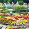 HÀ NỘI – SEOUL – NAMI – EVERLAND – THƯ VIỆN STARFIELD – TRẢI NGHIỆM SAUNA JJIMJILBANG