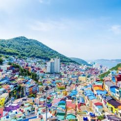 THƯỞNG NGOẠN MÙA THU VÀNG: BUSAN – THỦ ĐÔ SEOUL – ĐẢO NAMI – LÀNG CỔ DÂN TỘC KOREAN FOLK VILLAGE – TRẢI NGHIỆM ĐÀO NHÂN SÂM NÔNG TRẠI