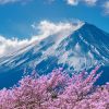 NHẬT BẢN MÙA LÁ ĐỎ 2026: OSAKA – CỐ ĐÔ NARA – NÚI PHÚ SĨ – THỦ ĐÔ TOKYO