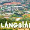 HÀ NỘI – ĐÀ LẠT – HÀ NỘI: MIỀN ĐẤT TÌNH YÊU & MÙA HOA