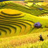 KHÁM PHÁ VÙNG CAO ĐÔNG - TÂY BẮC: HÀ NỘI – HOÀNG SU PHÌ – CHIÊU LẦU THI – BẮC HÀ