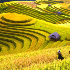 KHÁM PHÁ VÙNG CAO ĐÔNG - TÂY BẮC: HÀ NỘI – HOÀNG SU PHÌ – CHIÊU LẦU THI – BẮC HÀ