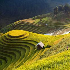TÂY BẮC MÙA LÚA CHÍN: HÀ NỘI - MÙ CANG CHẢI
