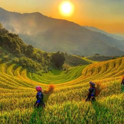 NHỮNG NẺO ĐƯỜNG TÂY BẮC: HÀ NỘI – MÙ CANG CHẢI MÙA LÚA
